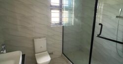 Luxurious 4 Bedroom Semi furnished Duplex for Sale